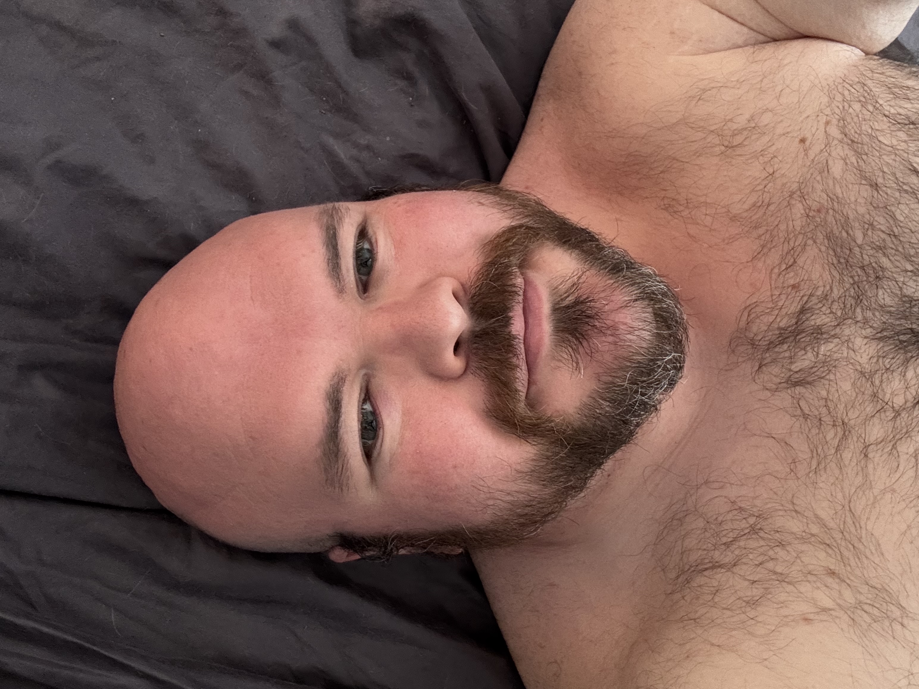 Sly Panorama shirtless close-up lying on charcoal grey bedding.